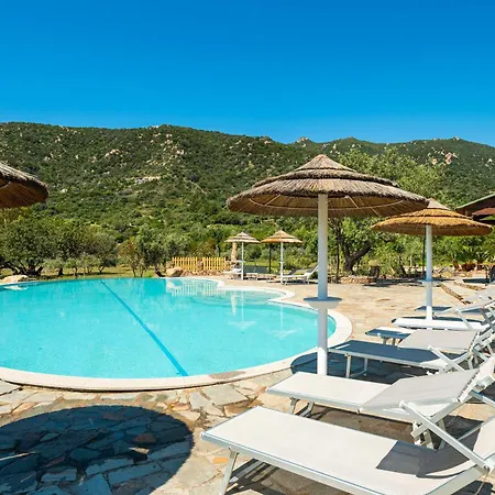 Harmonia 维拉西米乌斯