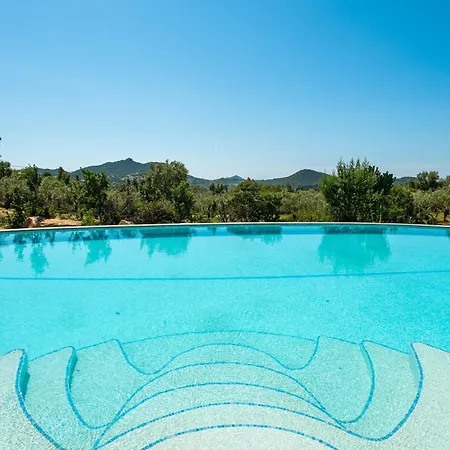 Harmonia 维拉西米乌斯