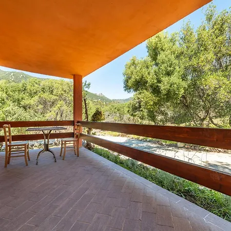 Harmonia 维拉西米乌斯