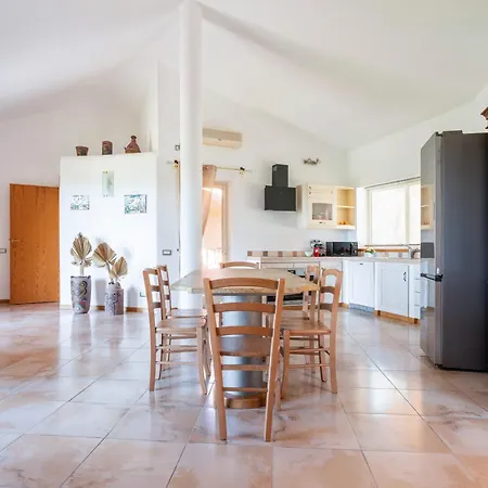 Harmonia 维拉西米乌斯