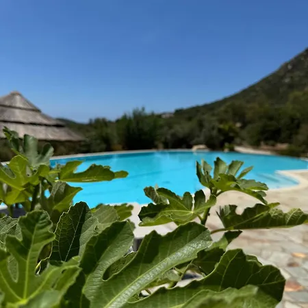 Harmònia Villa Villasimius